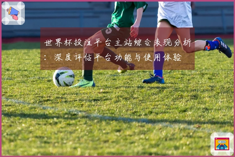 世界杯投注平台主站综合表现分析：深度评估平台功能与使用体验